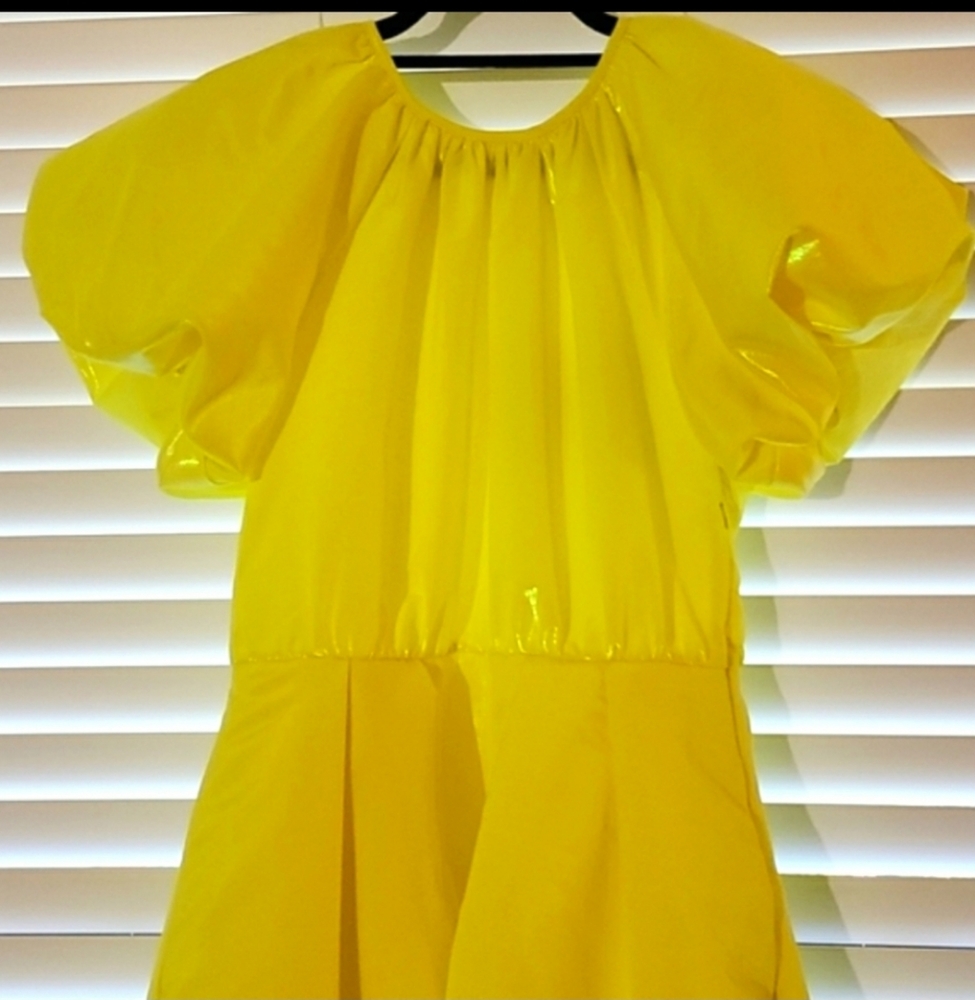 Christopher John Rodgers Iridescent Yellow Dress - Picture 7 of 16